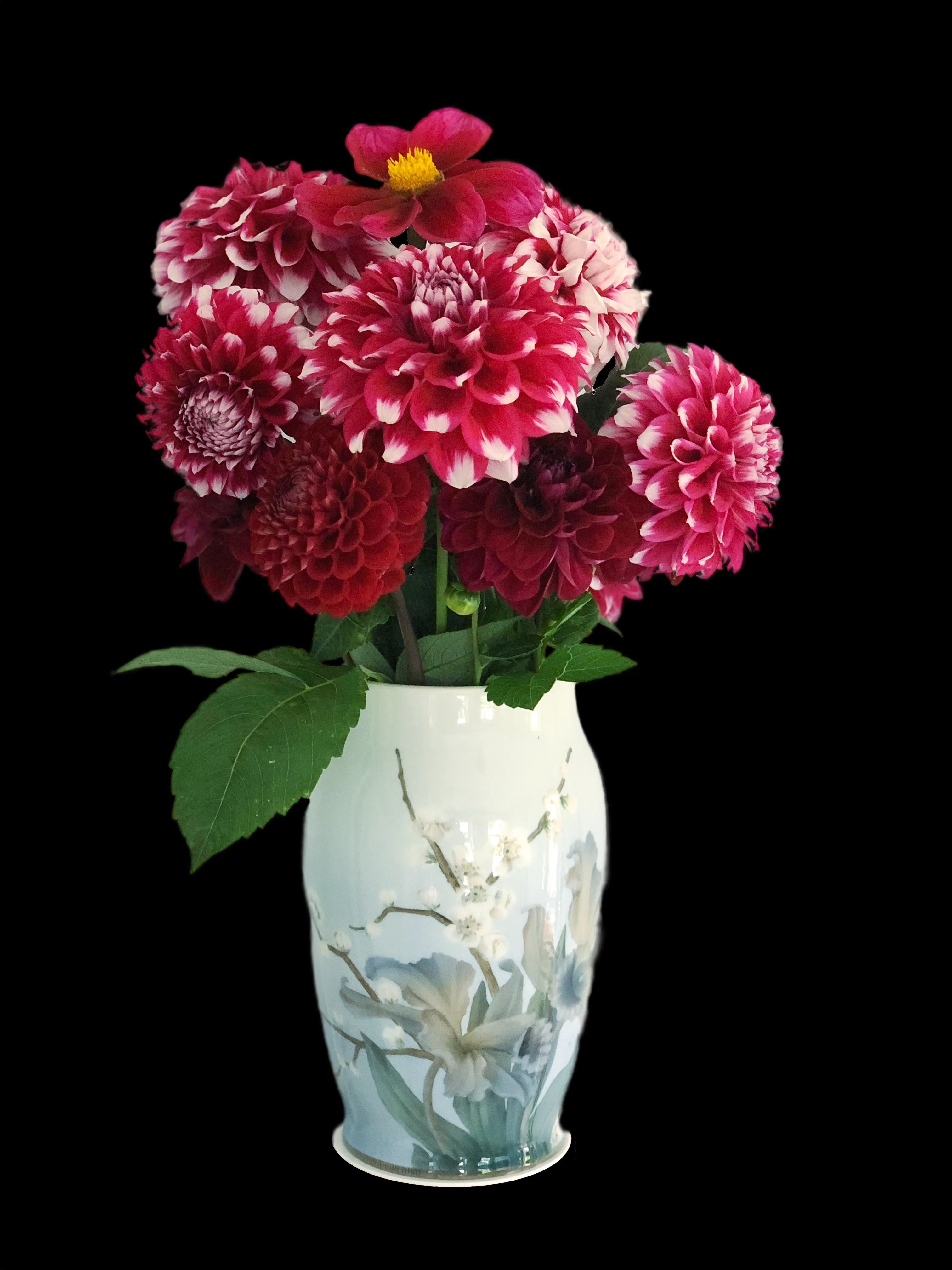 Dahlias på buketter