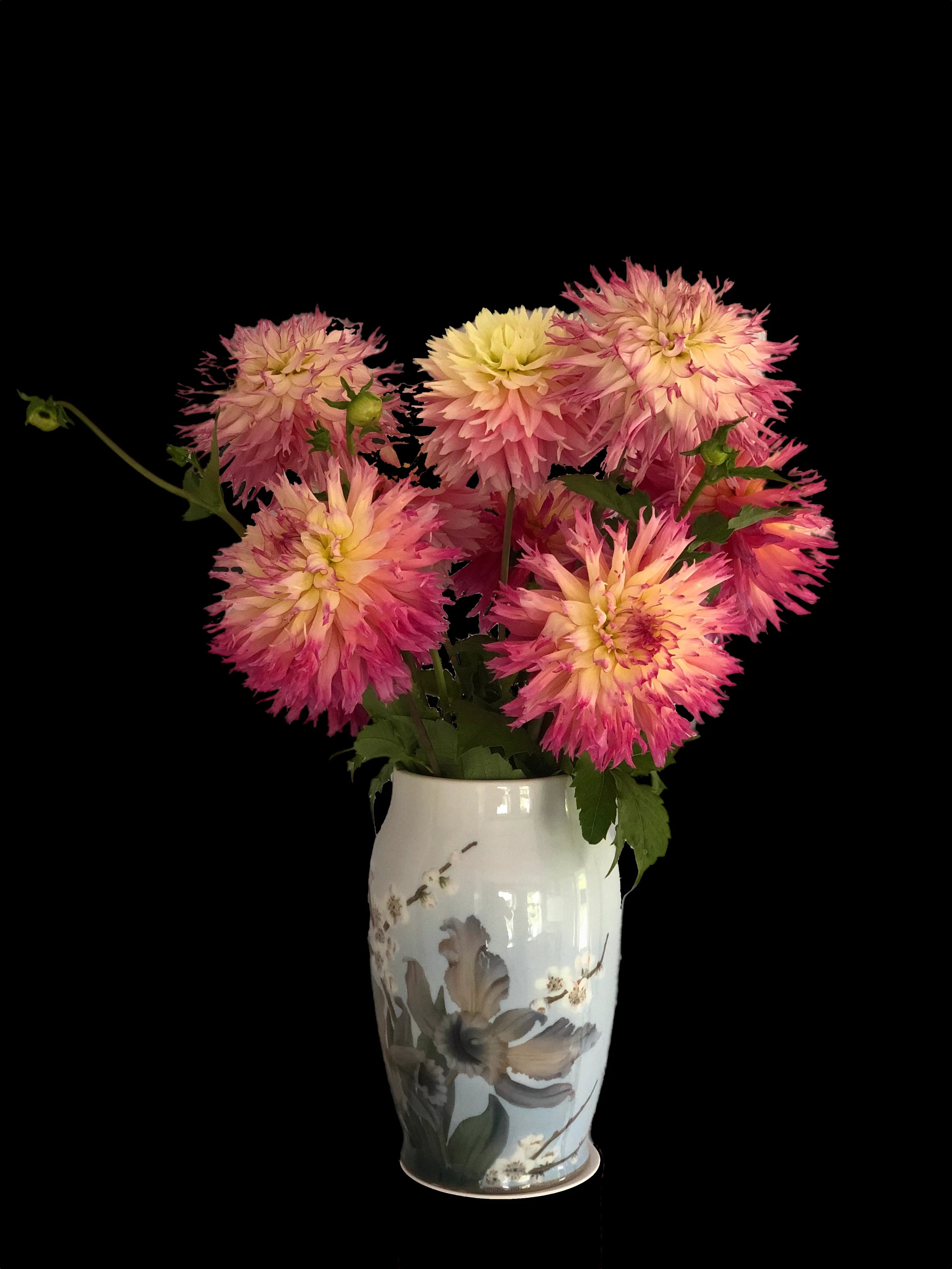 Dahlias på bordet